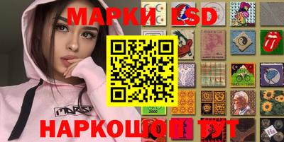 мдпв Новозыбков