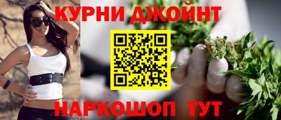 мдпв Новозыбков