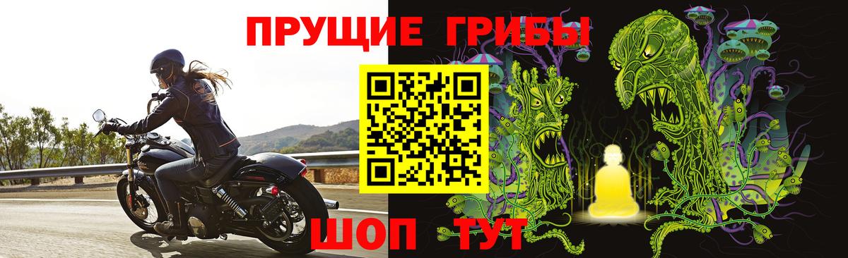 где можно купить   Вход с VPN  Узловая  Галлюциногенные грибы GOLDEN TEACHER 
